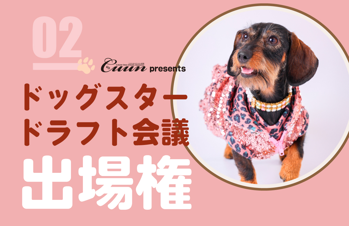 BOXCASA 友情 犬と猫 ステンドグラス ウィンドウハンギング ペットメモリアル サンキャッチャー お悔やみ 犬や, image size:1200x778