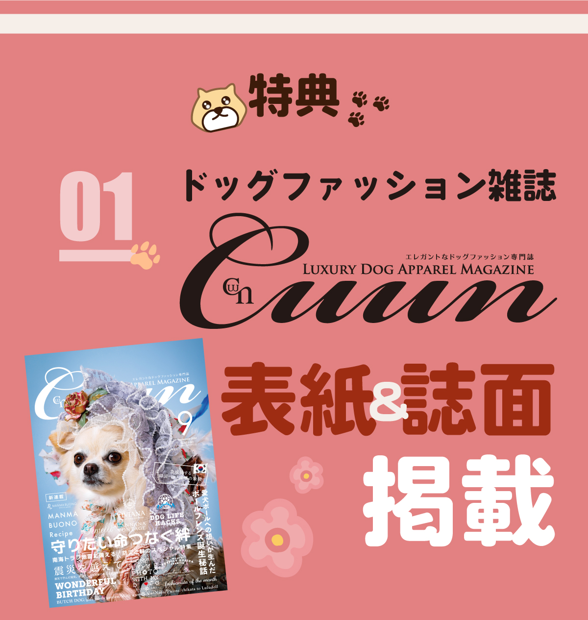 わんこんてすと - MODECON