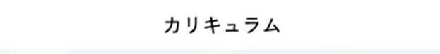 カリキュラム
